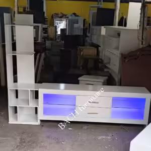 L .Stand LED Lights